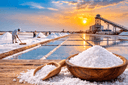 Edible Salt Production in India