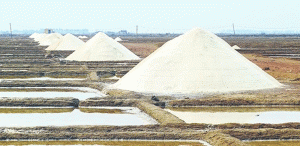 natural salt